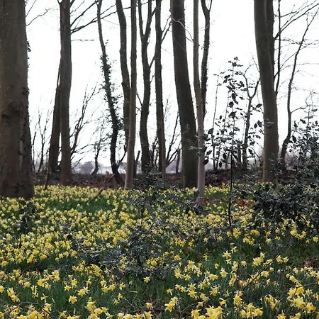 Le Domaine Saint Ange 3* Friville-Escarbotin