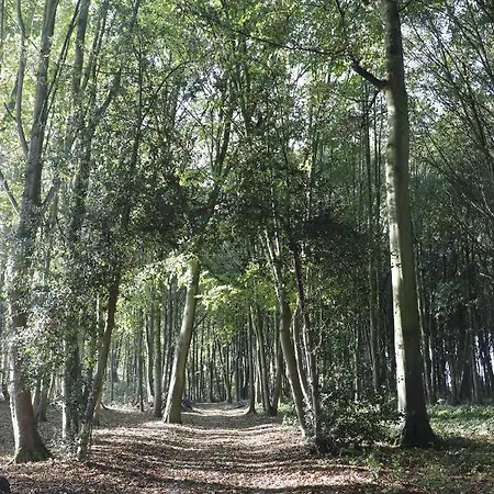 Maison d'hôtes Le Domaine Saint Ange Friville-Escarbotin