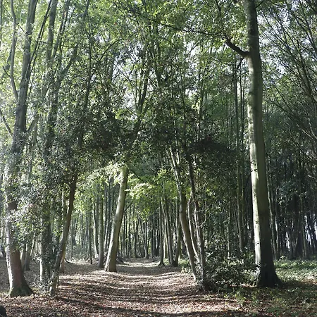 Maison d'hôtes Le Domaine Saint Ange