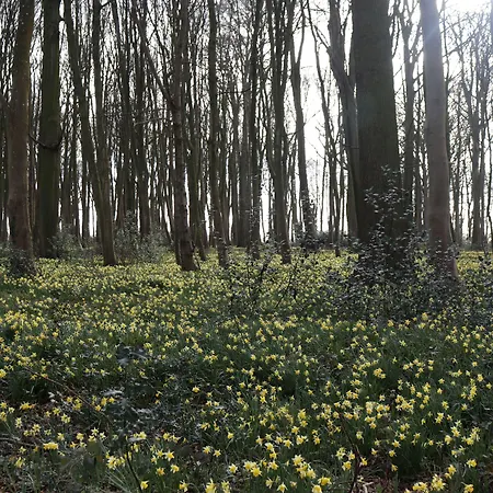 Le Domaine Saint Ange Konukevi Friville-Escarbotin