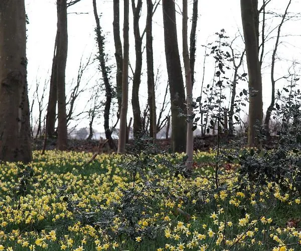 Le Domaine Saint Ange 3* Friville-Escarbotin