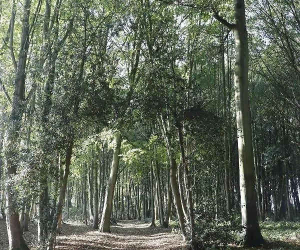 Maison d'hôtes Le Domaine Saint Ange Friville-Escarbotin