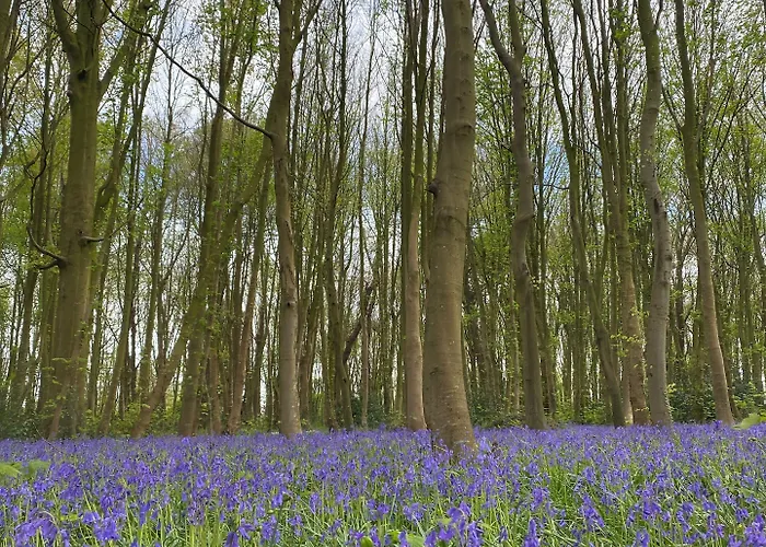 Le Domaine Saint Ange 3* Friville-Escarbotin