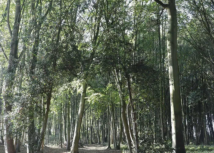 Maison d'hôtes Le Domaine Saint Ange